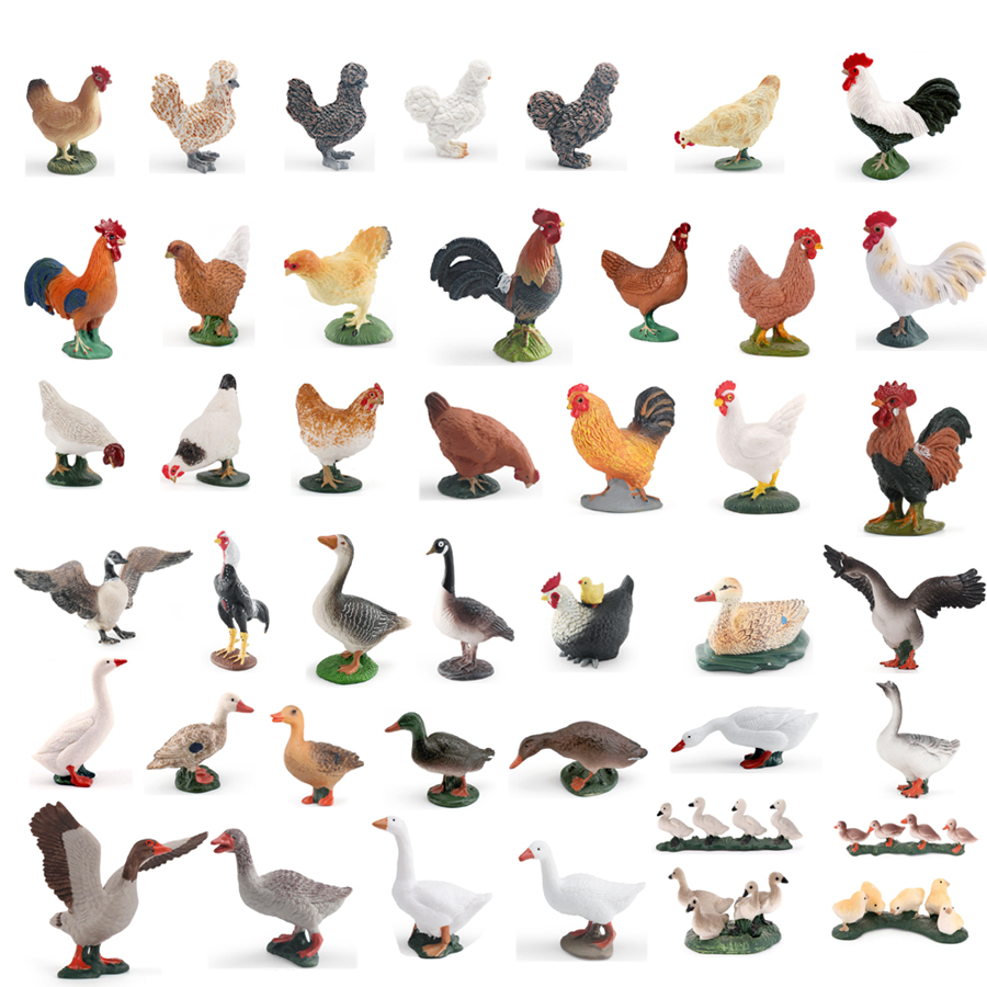 Interior Design House - Simulation Farm Poultry Animal Rooster Hen