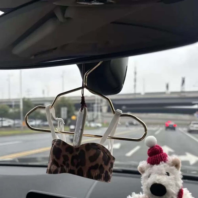 Mini Lingerie Car Ornament, Cu - Interior Design Years review and price